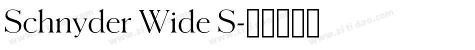 Schnyder Wide S字体转换